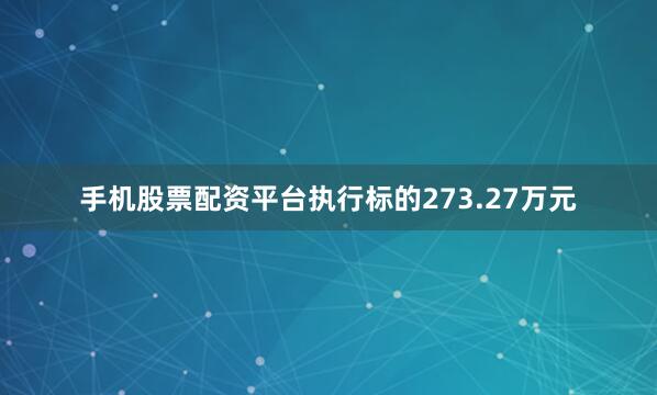 手机股票配资平台执行标的273.27万元